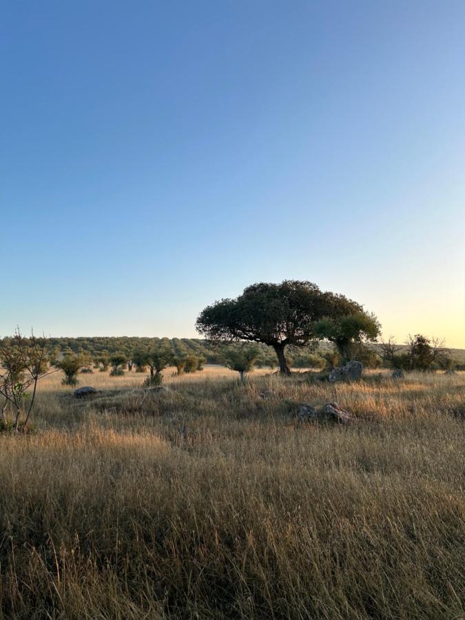 モンサラズ Monte De Santa Mariaヴィラ エクステリア 写真