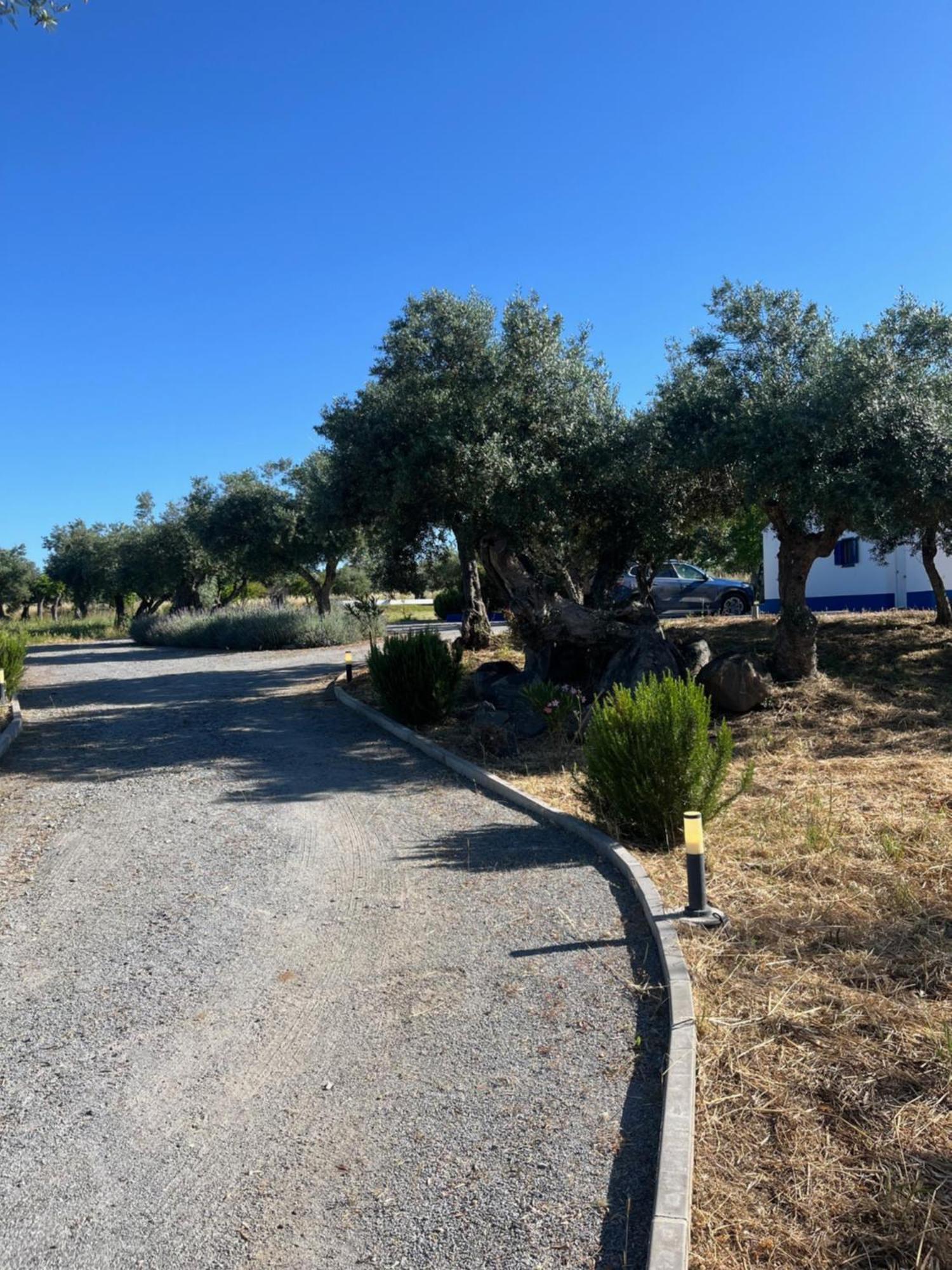 モンサラズ Monte De Santa Mariaヴィラ エクステリア 写真